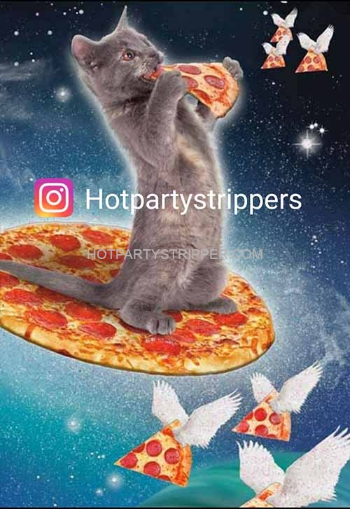 pizza and pussy cat for a party